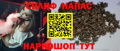 Альфа ПВП Ачхой-Мартан