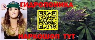 гидропоника Баксан