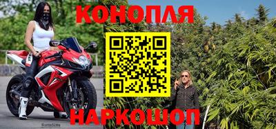 крисы Бийск