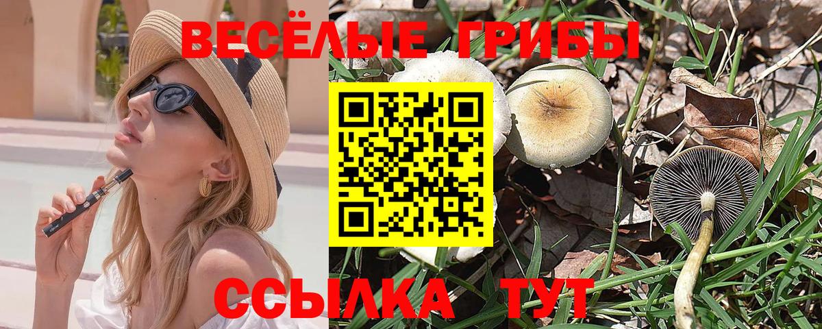 Псилоцибиновые грибы GOLDEN TEACHER  Россошь 