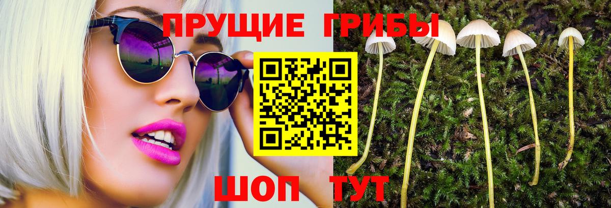 Галлюциногенные грибы ЛСД  Вход с VPN  Россошь 